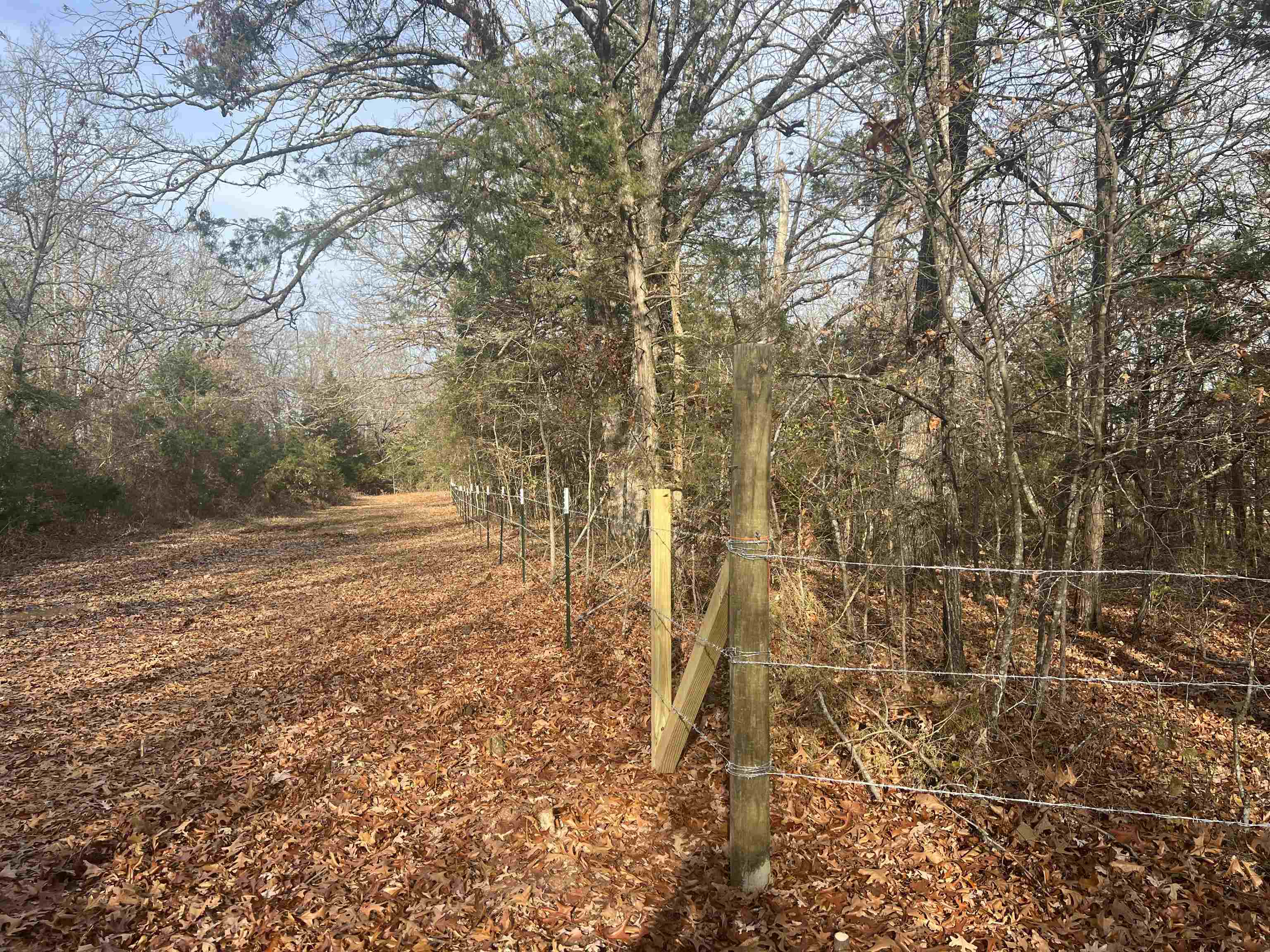 Fawn Ridge Lane