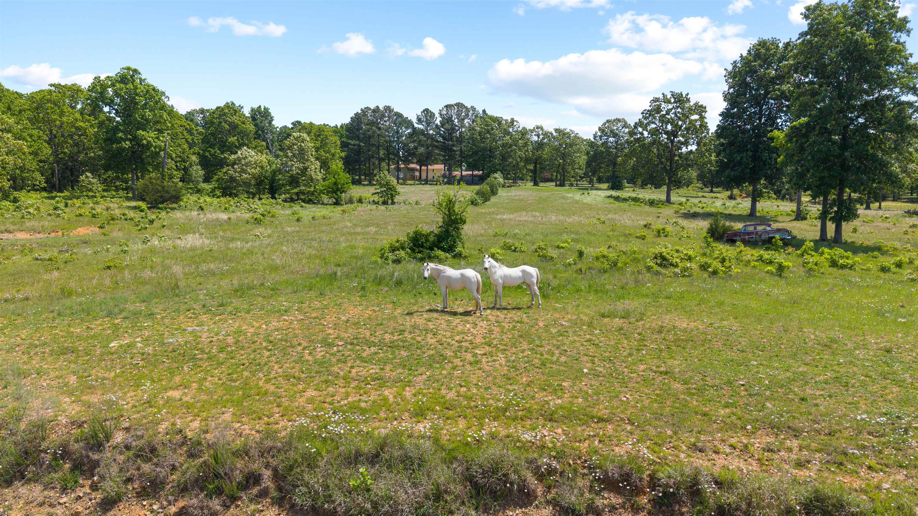 3555 Highway 167