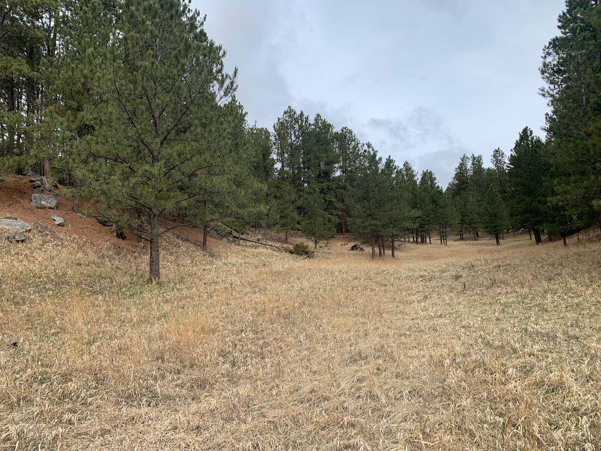 TBD Buckhorn Estates Drive