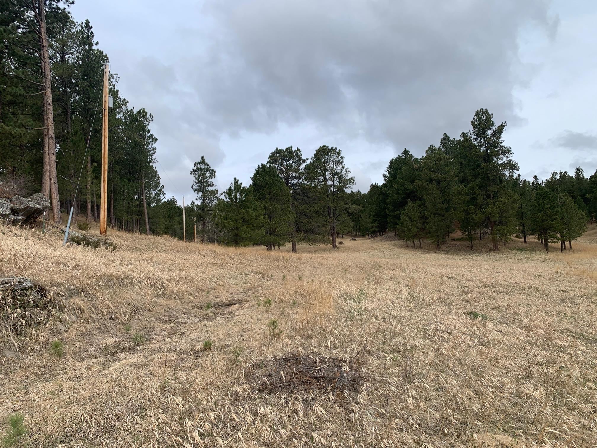 TBD Buckhorn Estates Drive