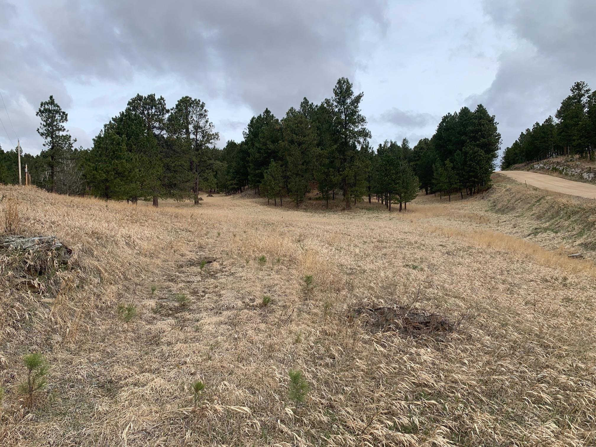 TBD Buckhorn Estates Drive