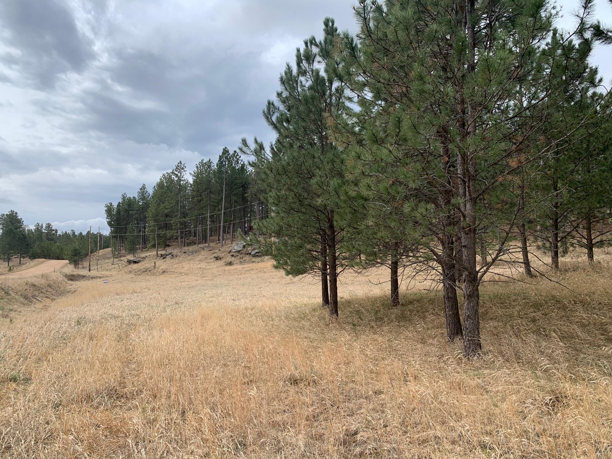 TBD Buckhorn Estates Drive