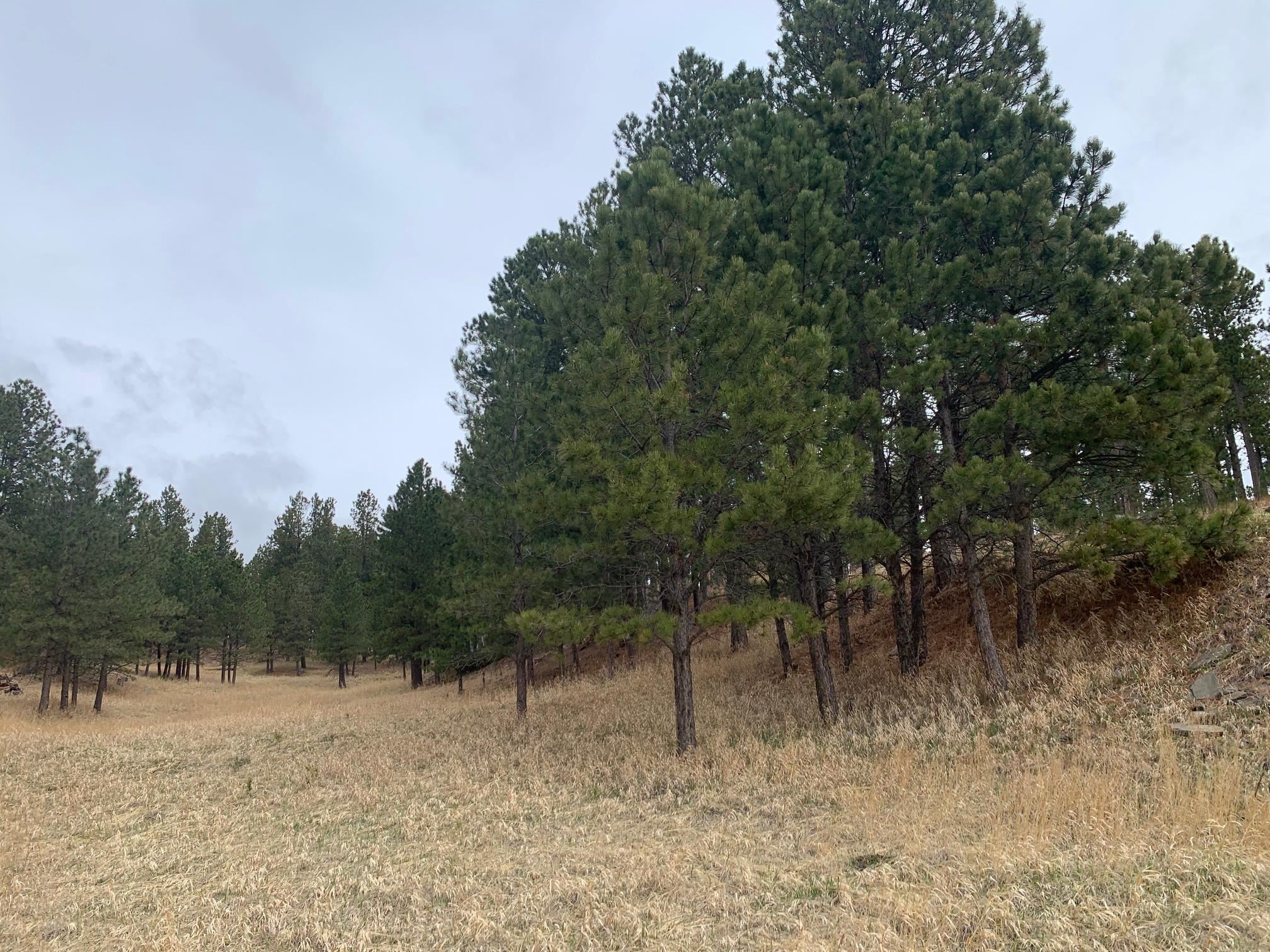 TBD Buckhorn Estates Drive