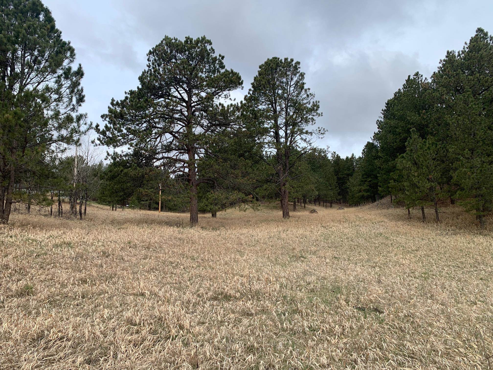 TBD Buckhorn Estates Drive