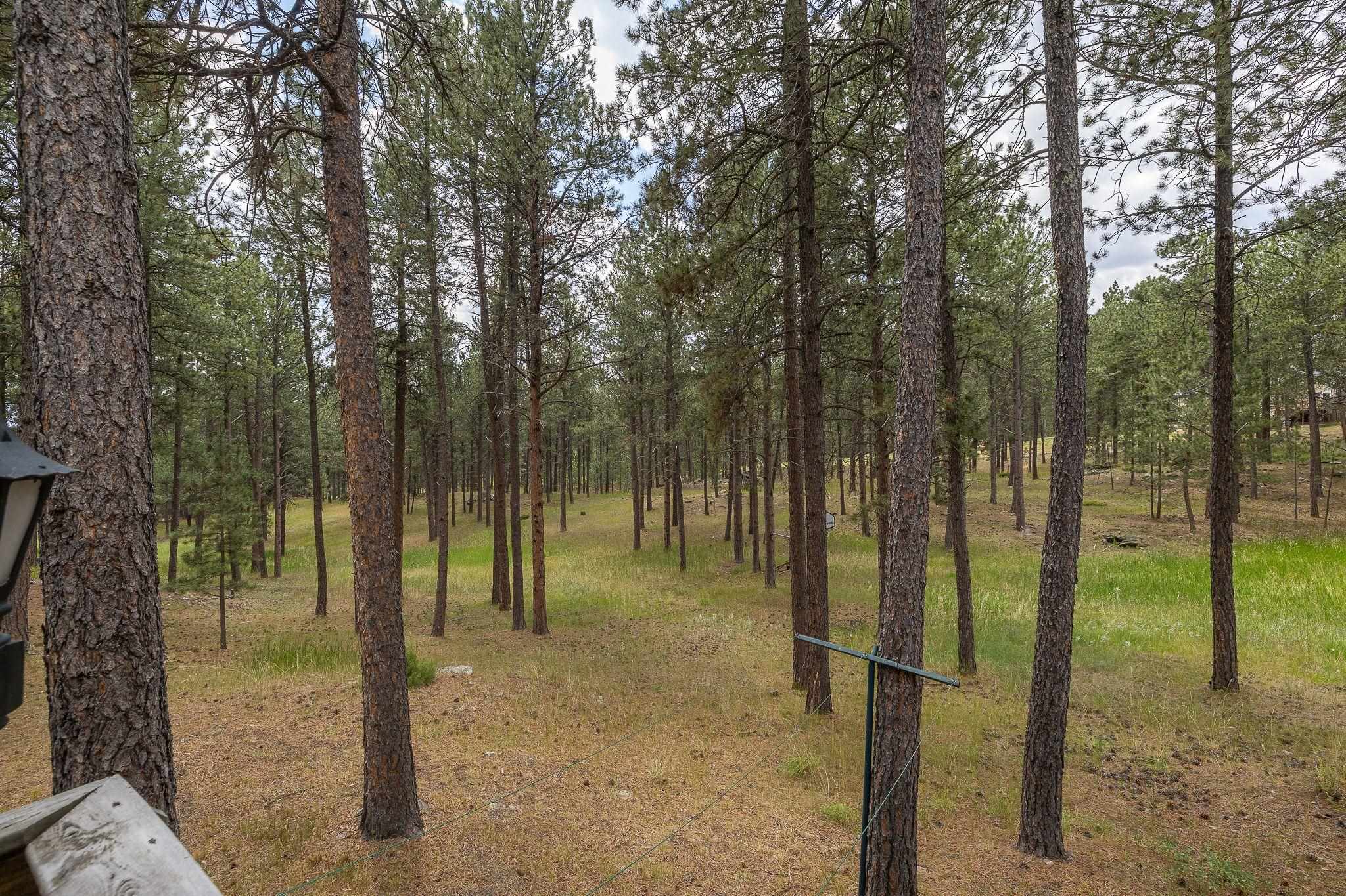 12128 Buckhorn Estates Drive