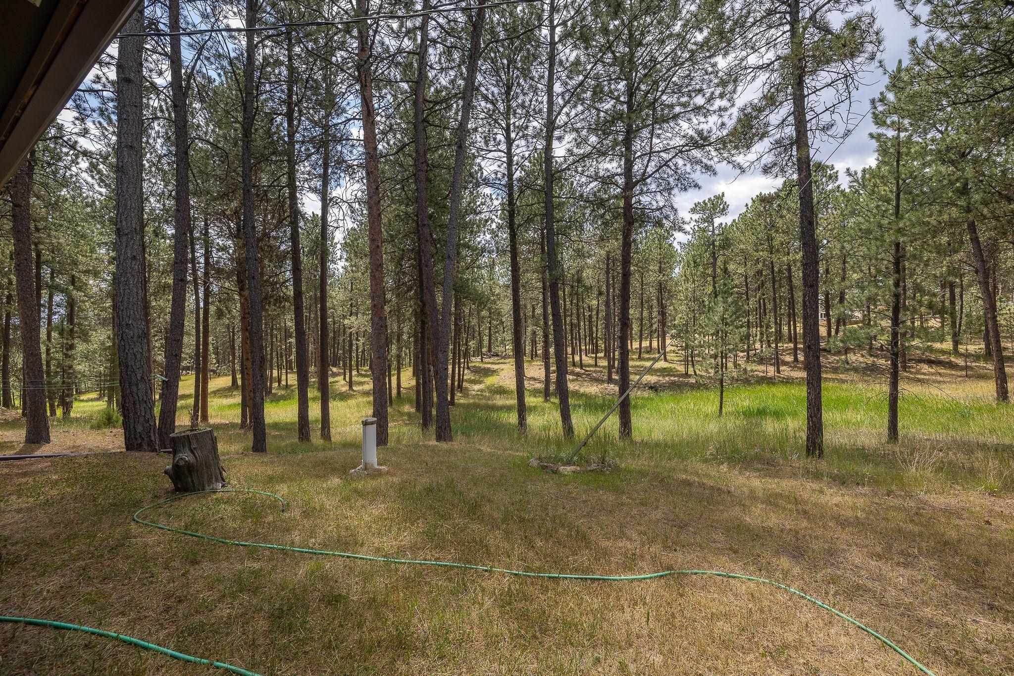 12128 Buckhorn Estates Drive