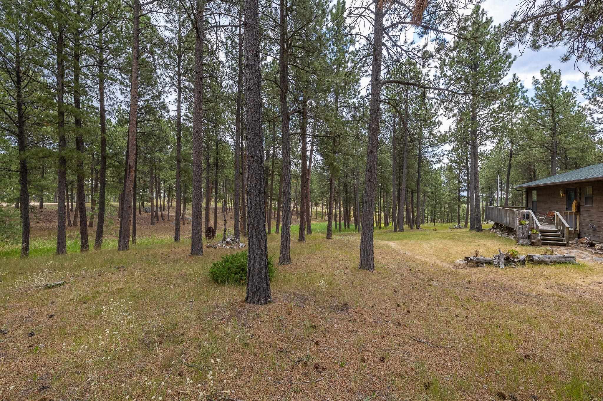 12128 Buckhorn Estates Drive