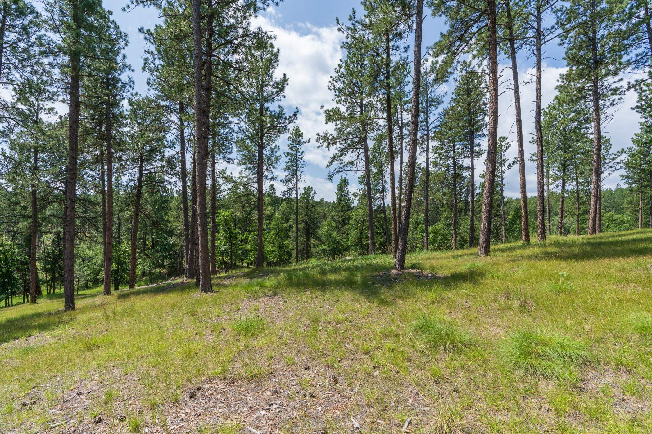 13270 Three Meadows Road