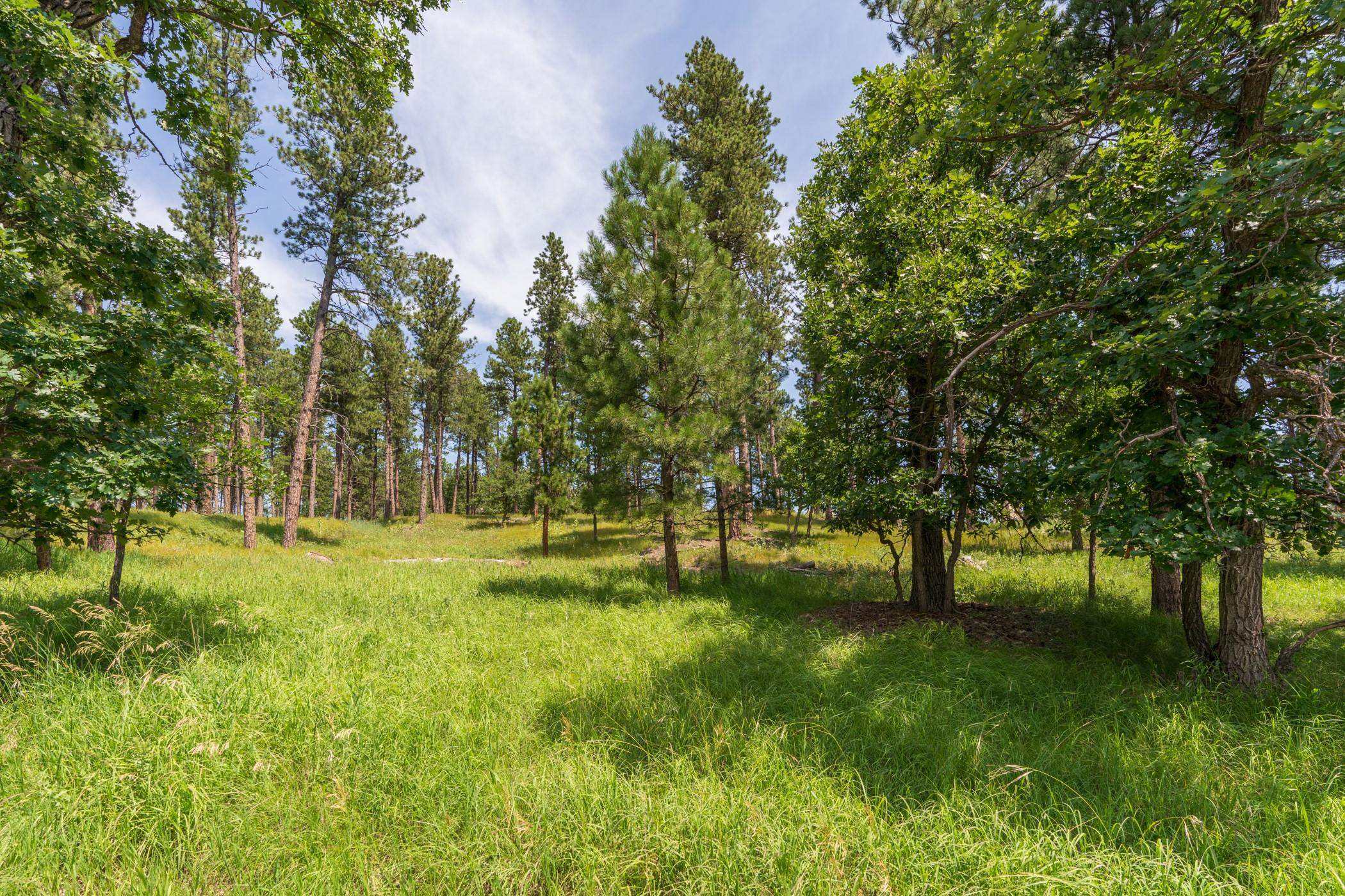 13270 Three Meadows Road