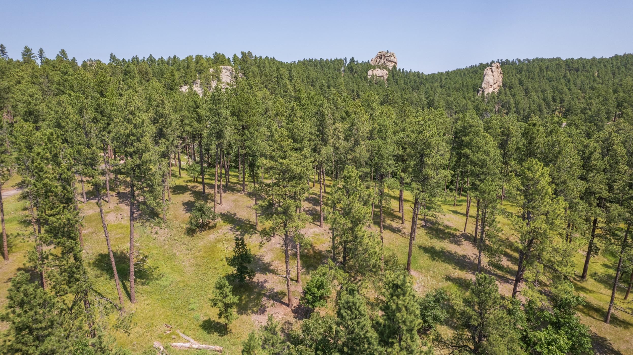 13270 Three Meadows Road