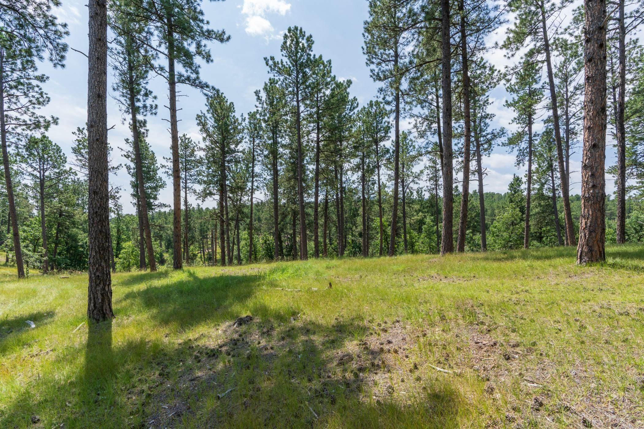 13270 Three Meadows Road