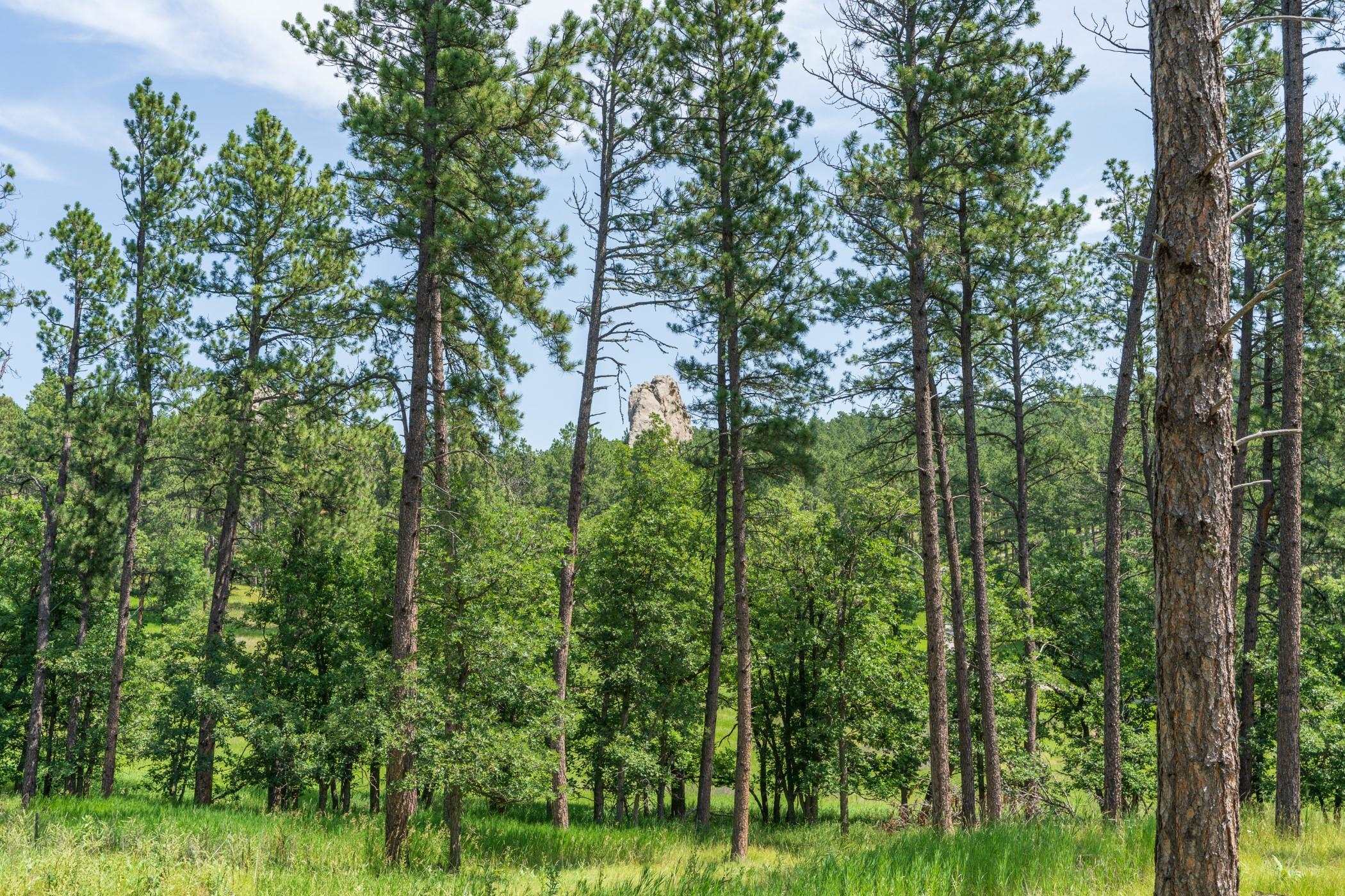 13270 Three Meadows Road