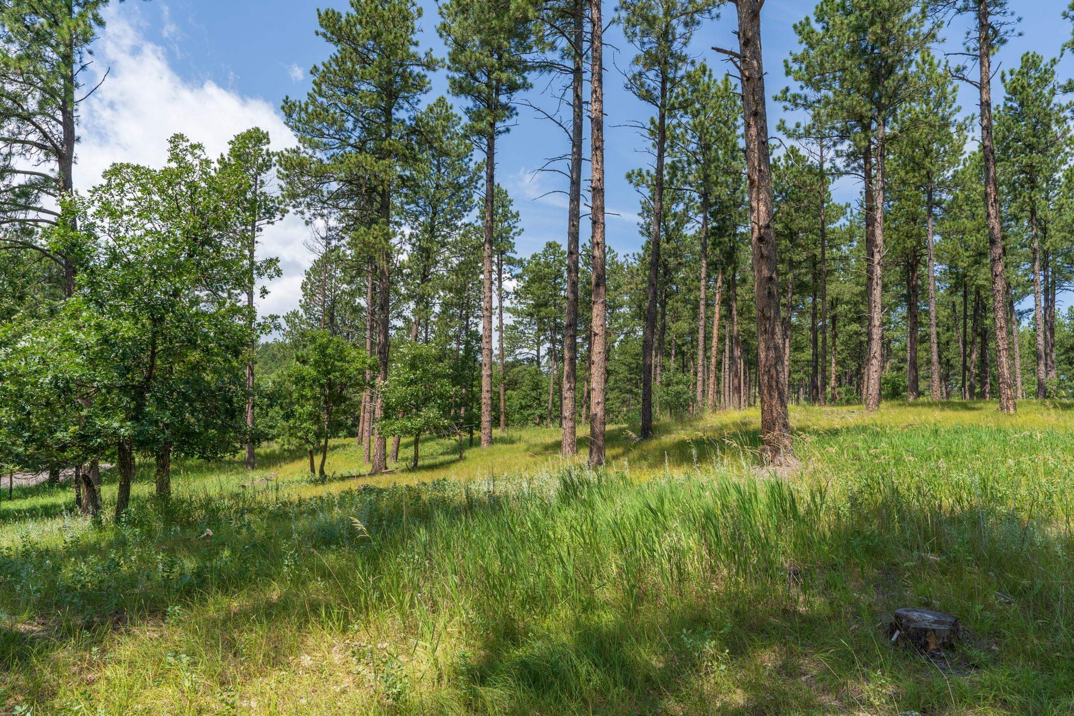 13270 Three Meadows Road