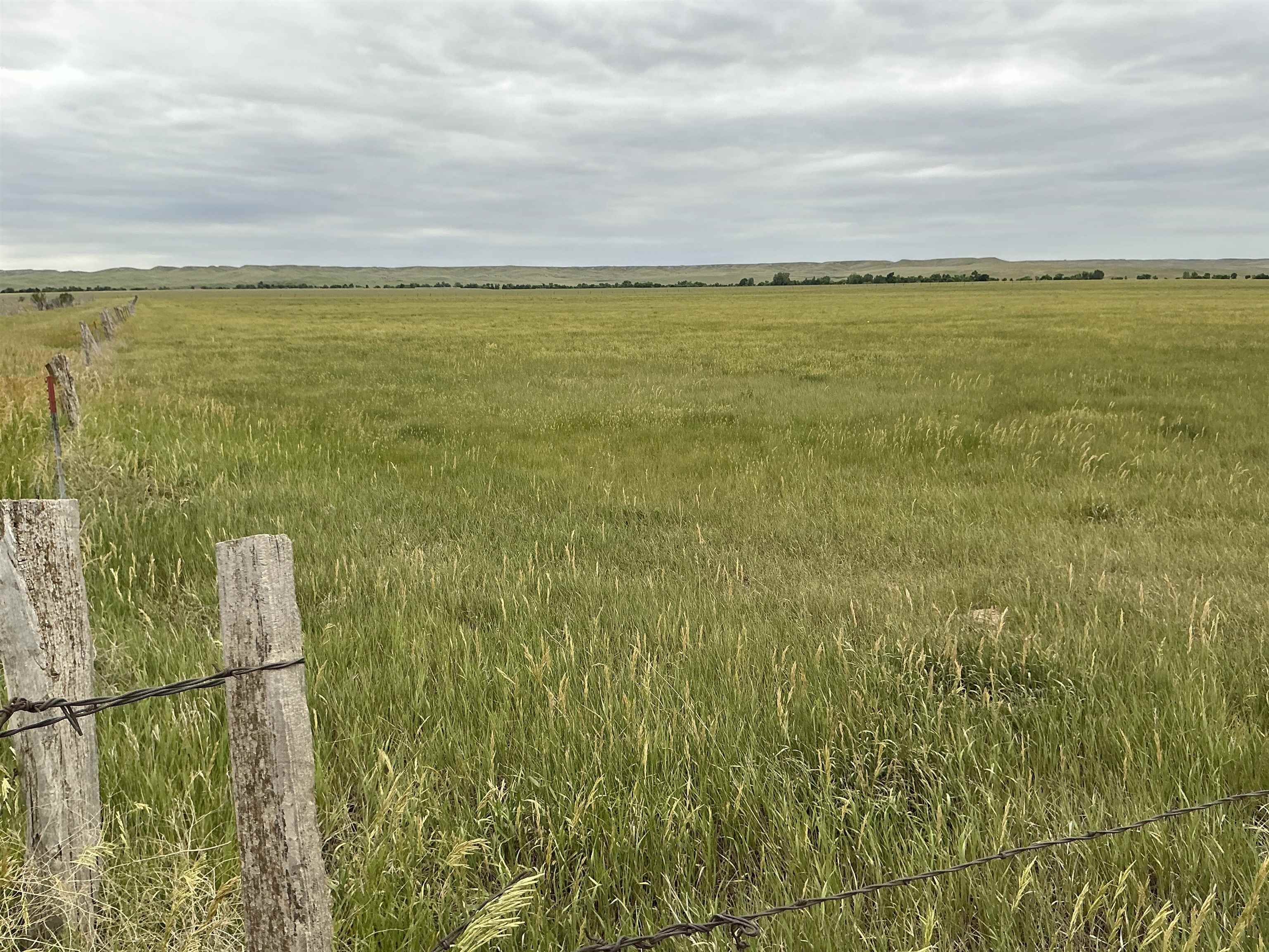 TBD Lower Spring Creek Road