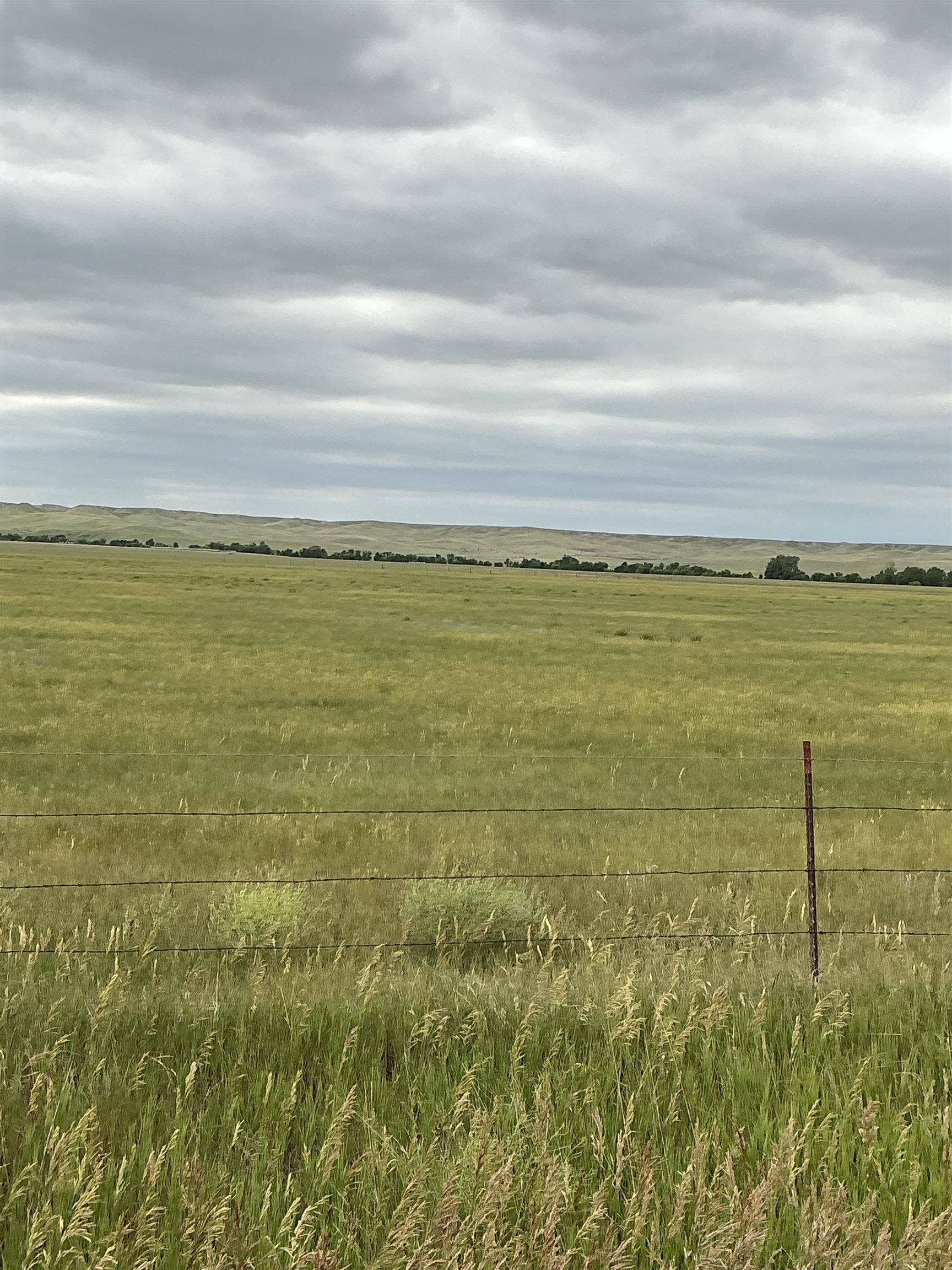 TBD Lower Spring Creek Road