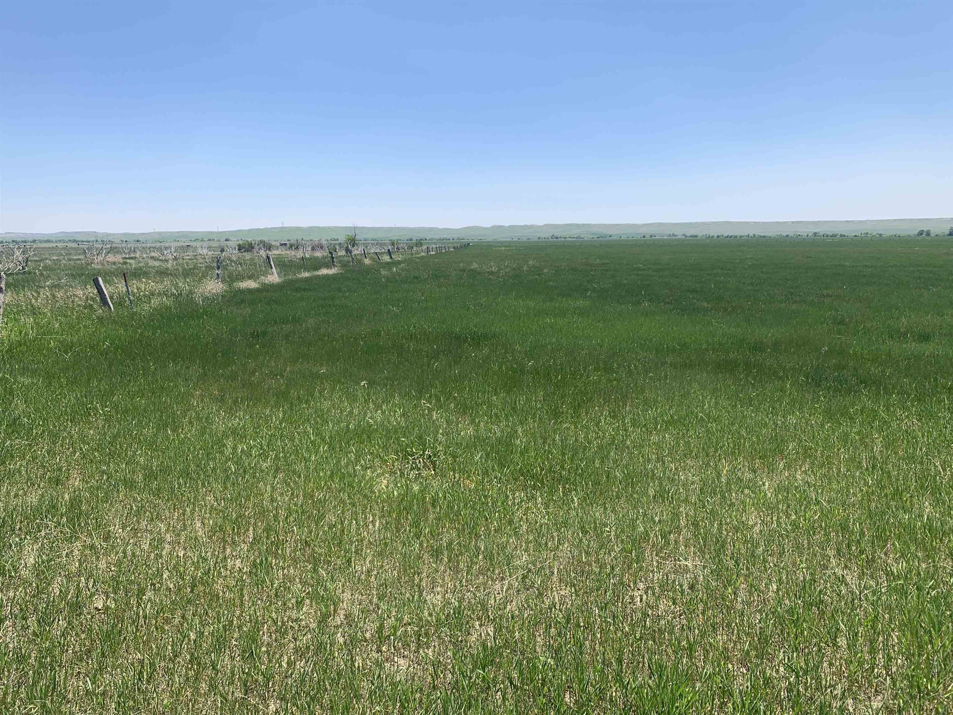 TBD Lower Spring Creek Road