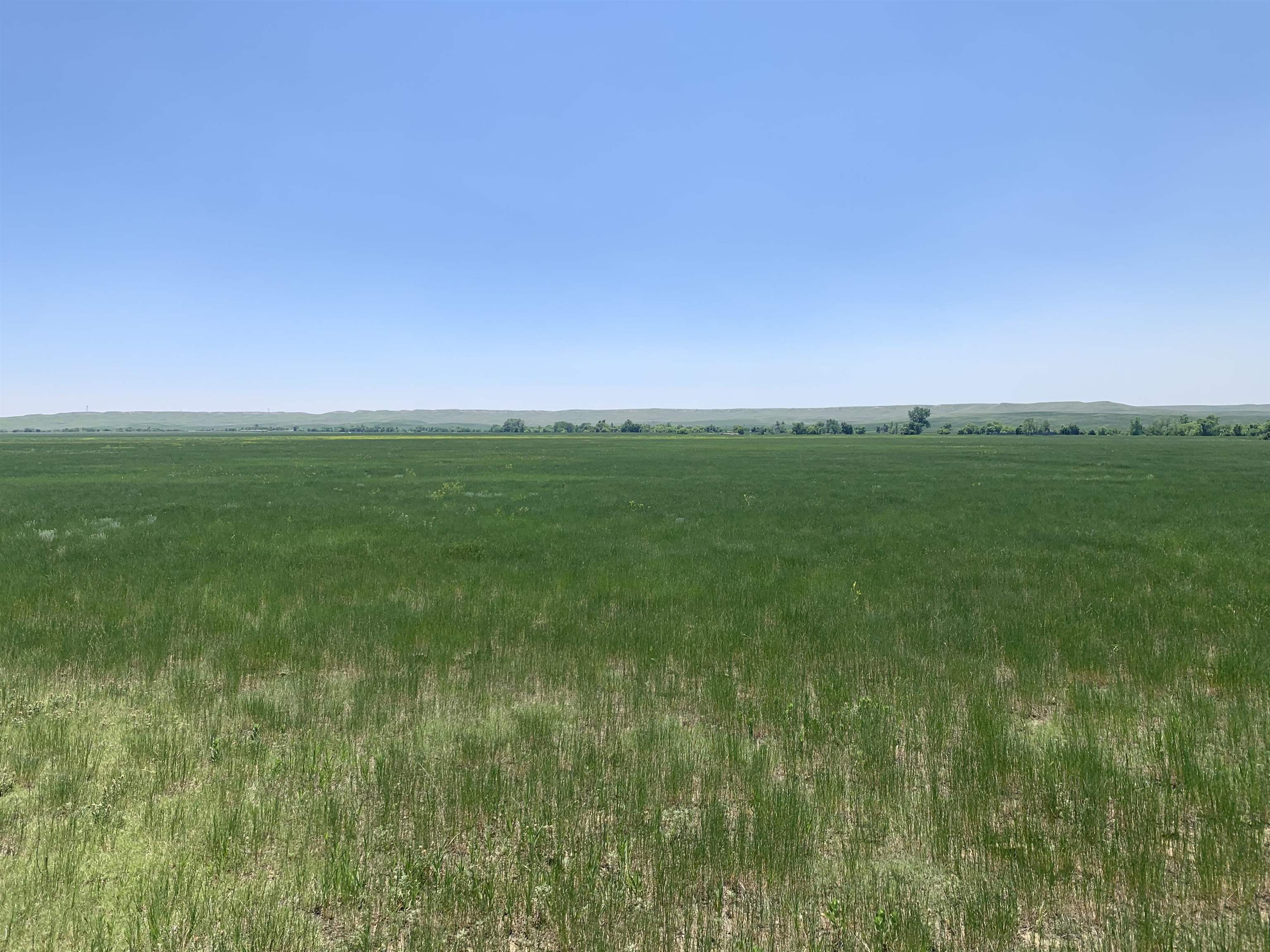 TBD Lower Spring Creek Road