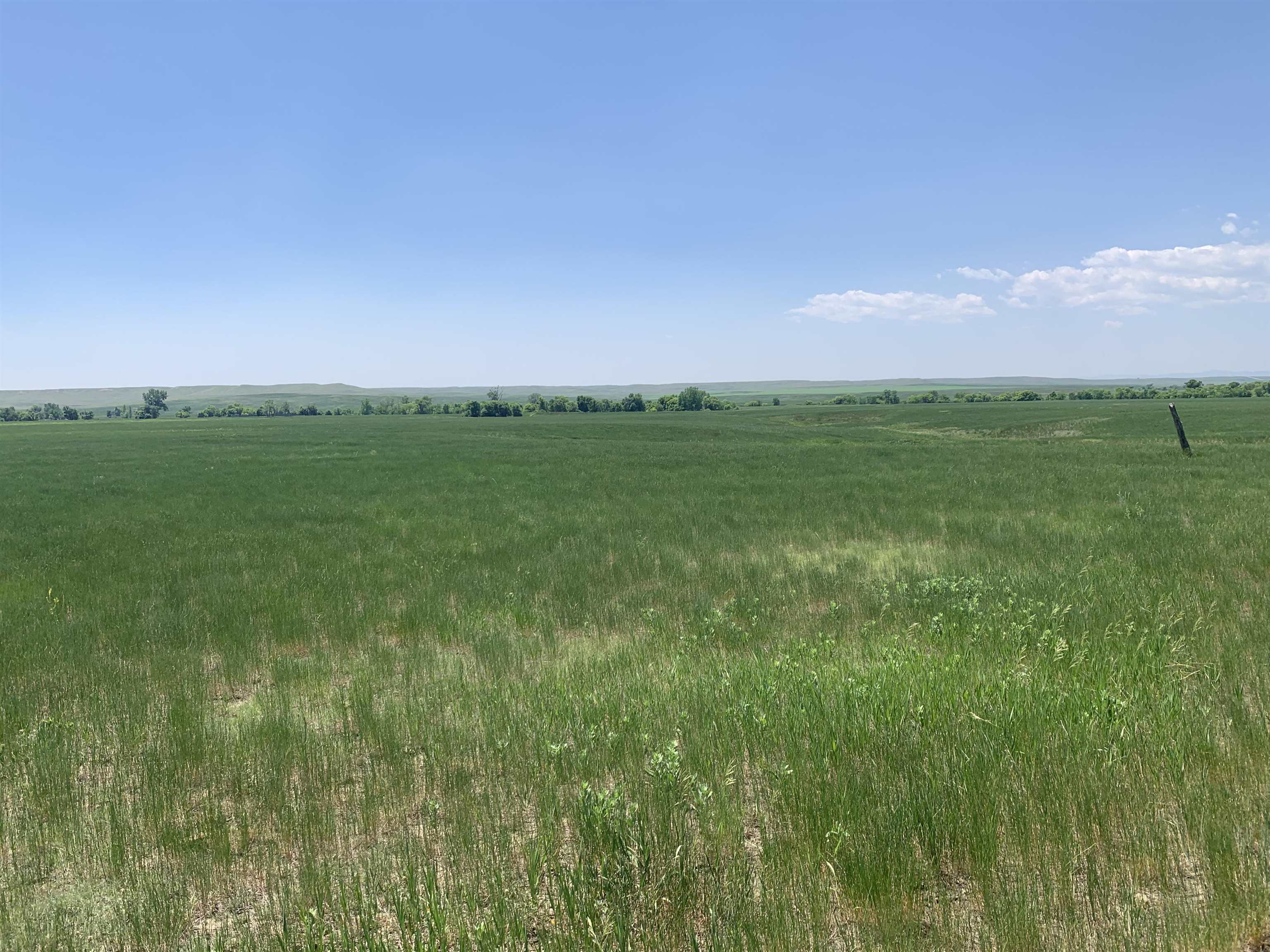 TBD Lower Spring Creek Road