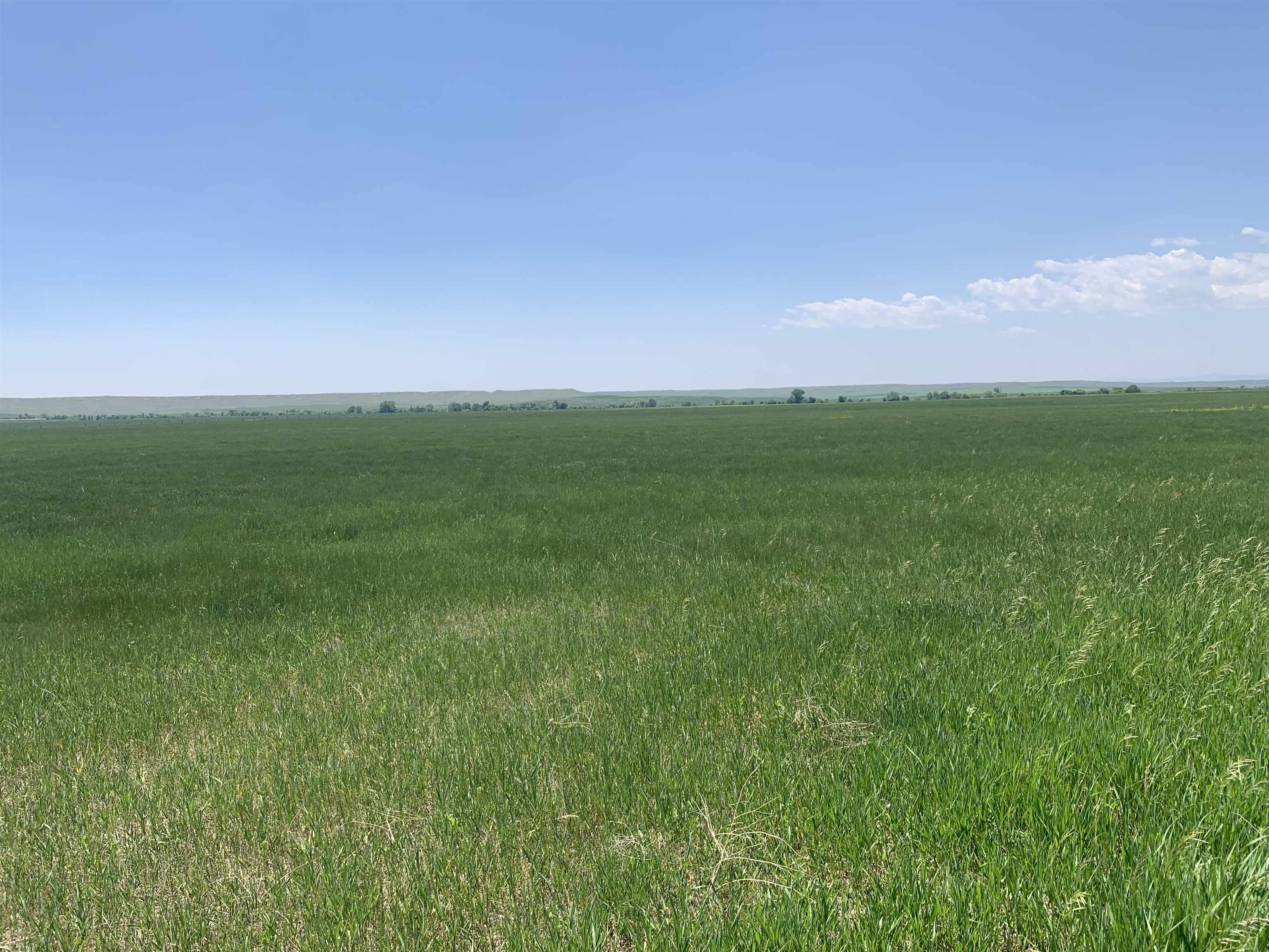 TBD Lower Spring Creek Road