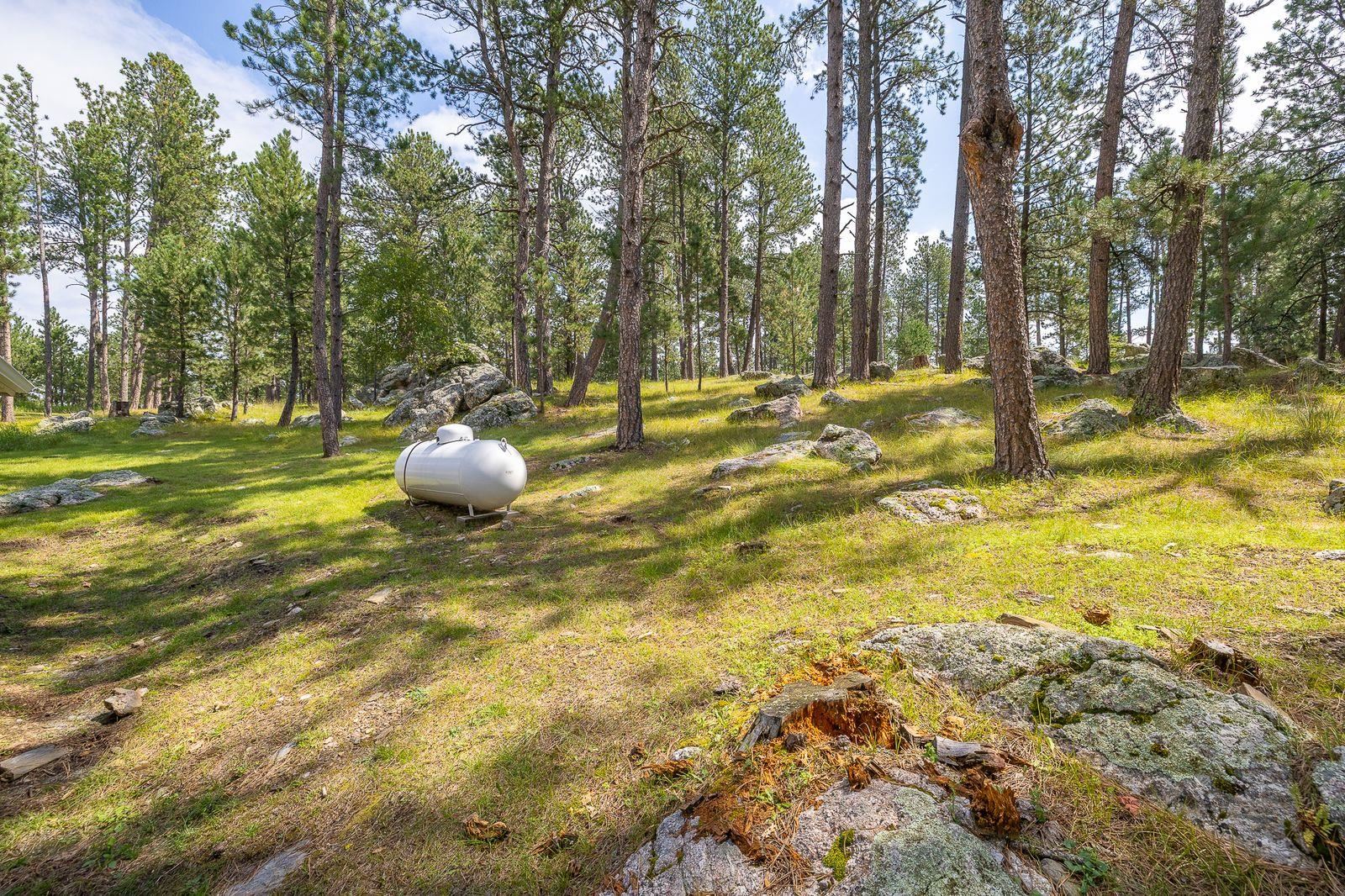 25094 & 25096 Forest Park