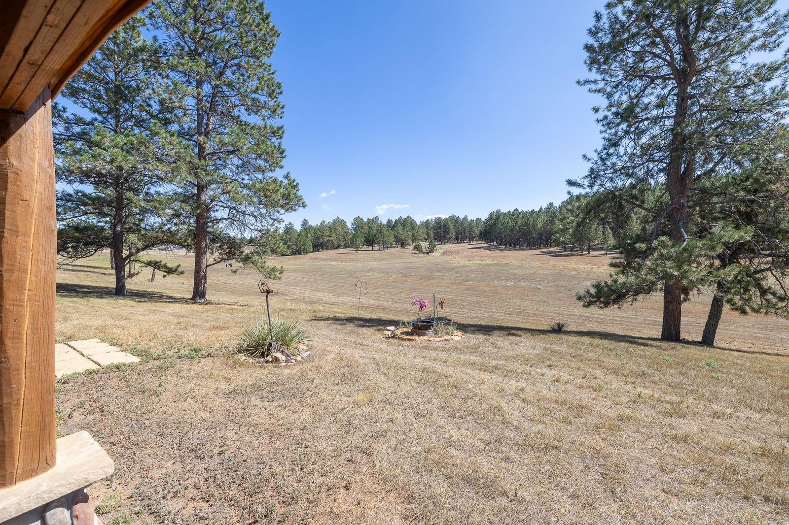 11935 Lone Elk Drive