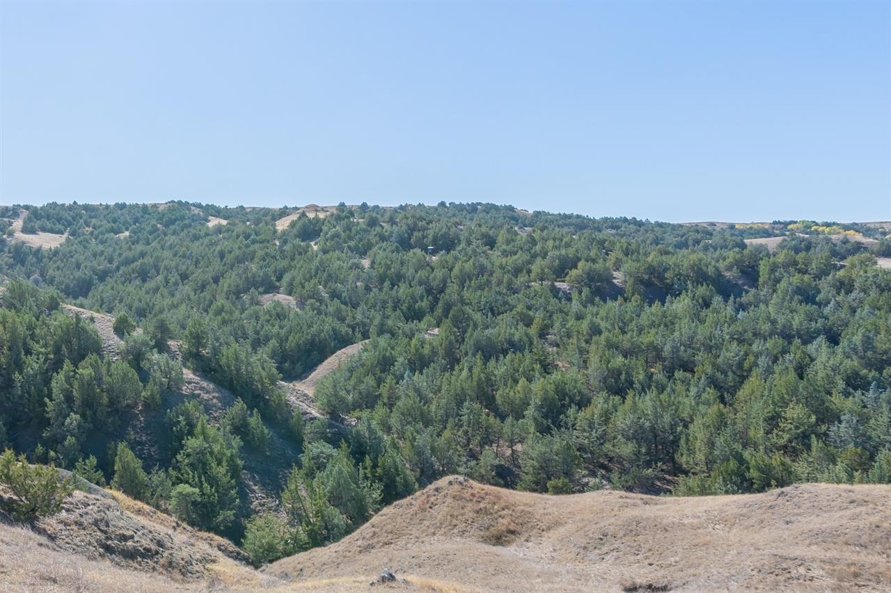 21627 Hardingrove Road