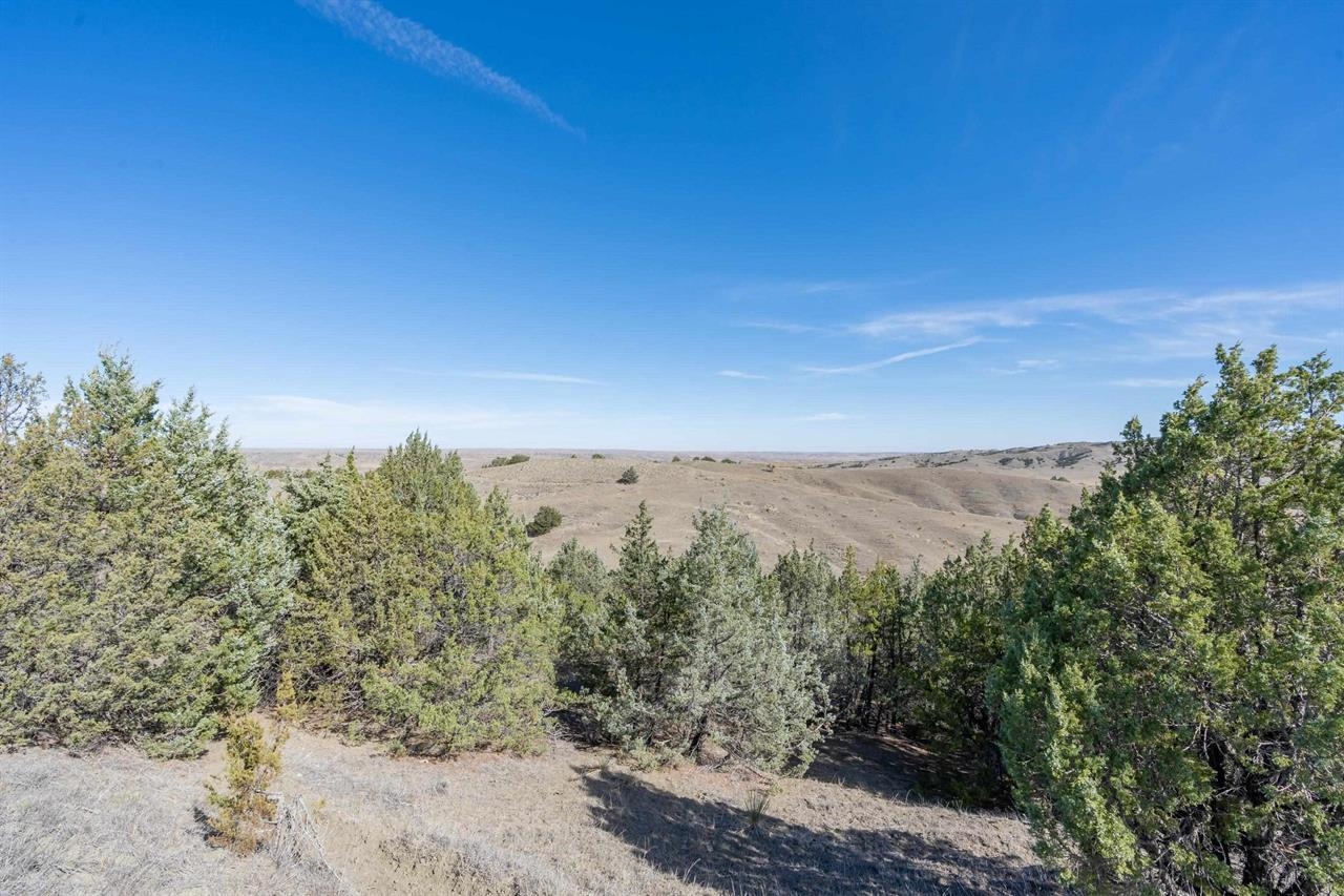 21627 Hardingrove Road