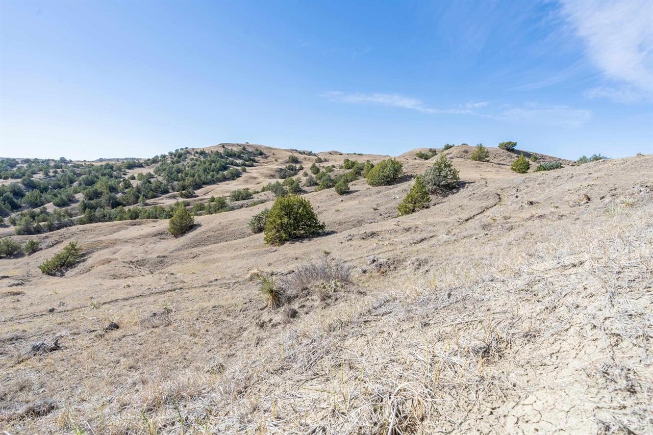 21627 Hardingrove Road