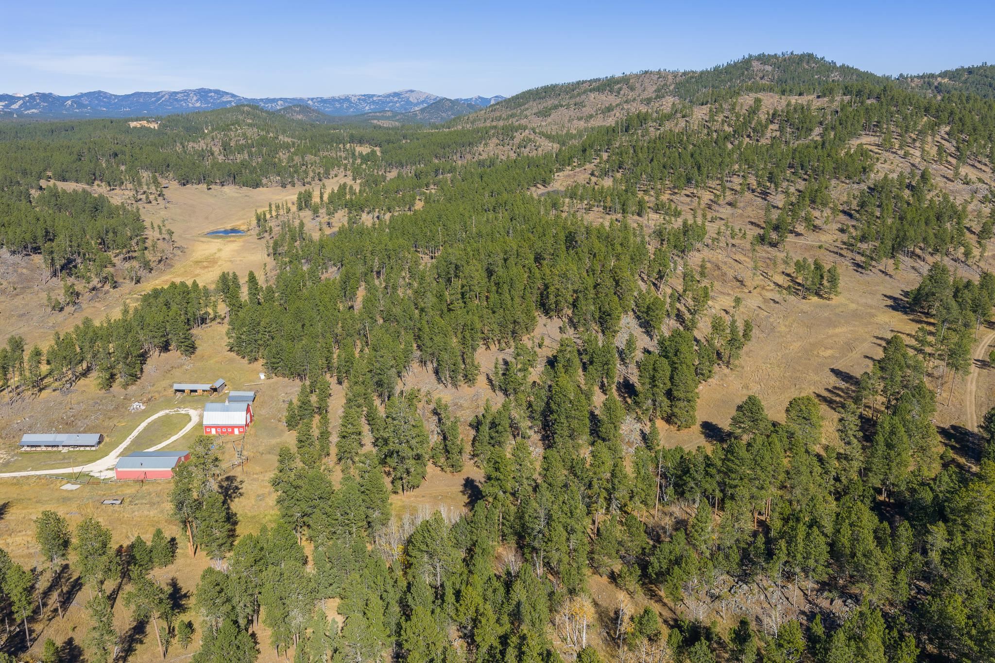 25636 Sidney Park Road