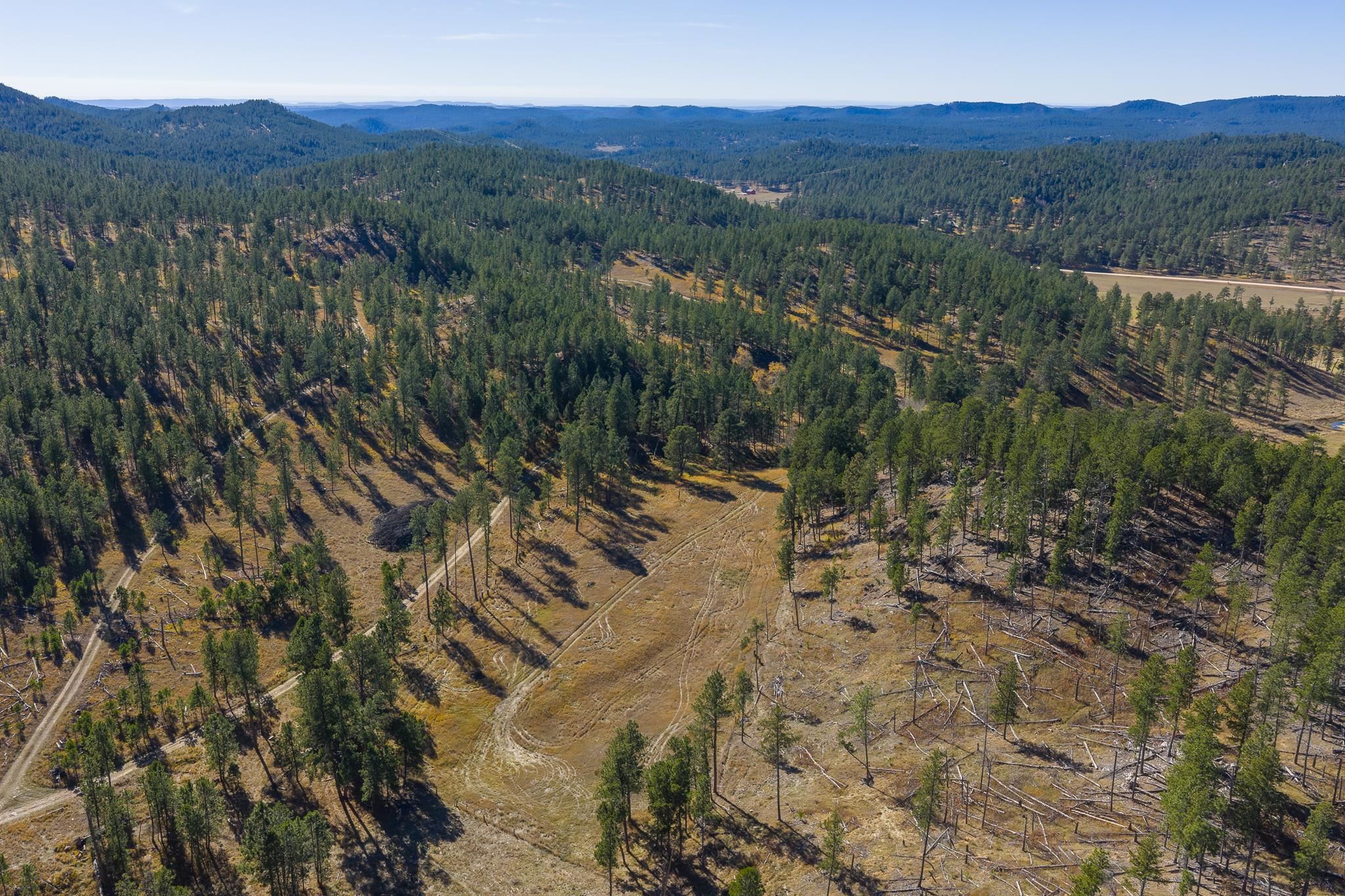 25636 Sidney Park Road