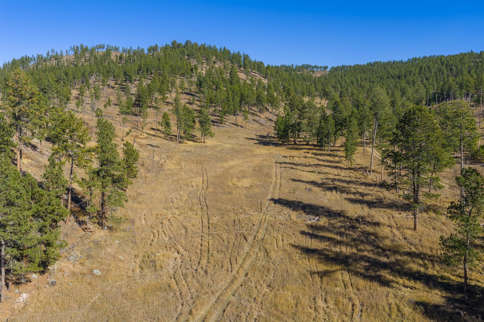 25636 Sidney Park Road