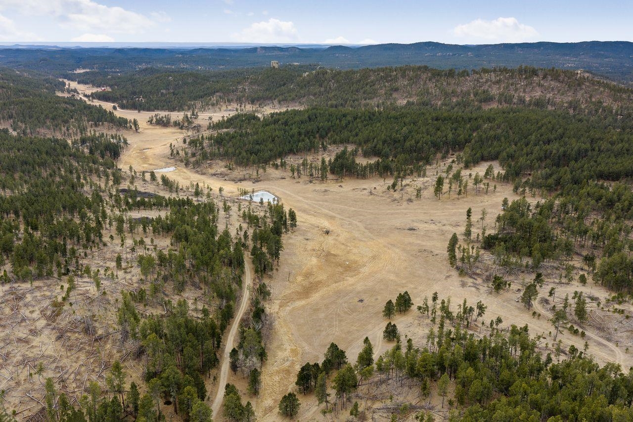 25636 Sidney Park Road