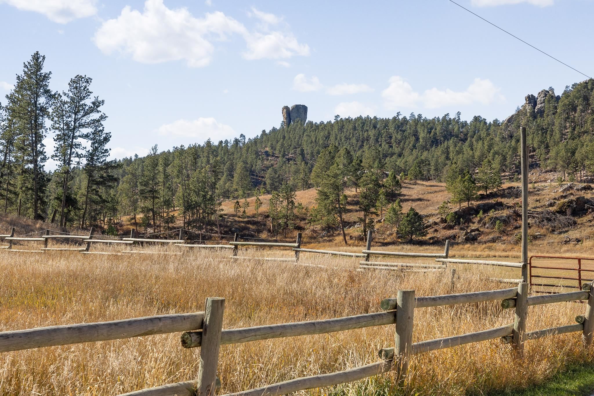 25636 Sidney Park Road