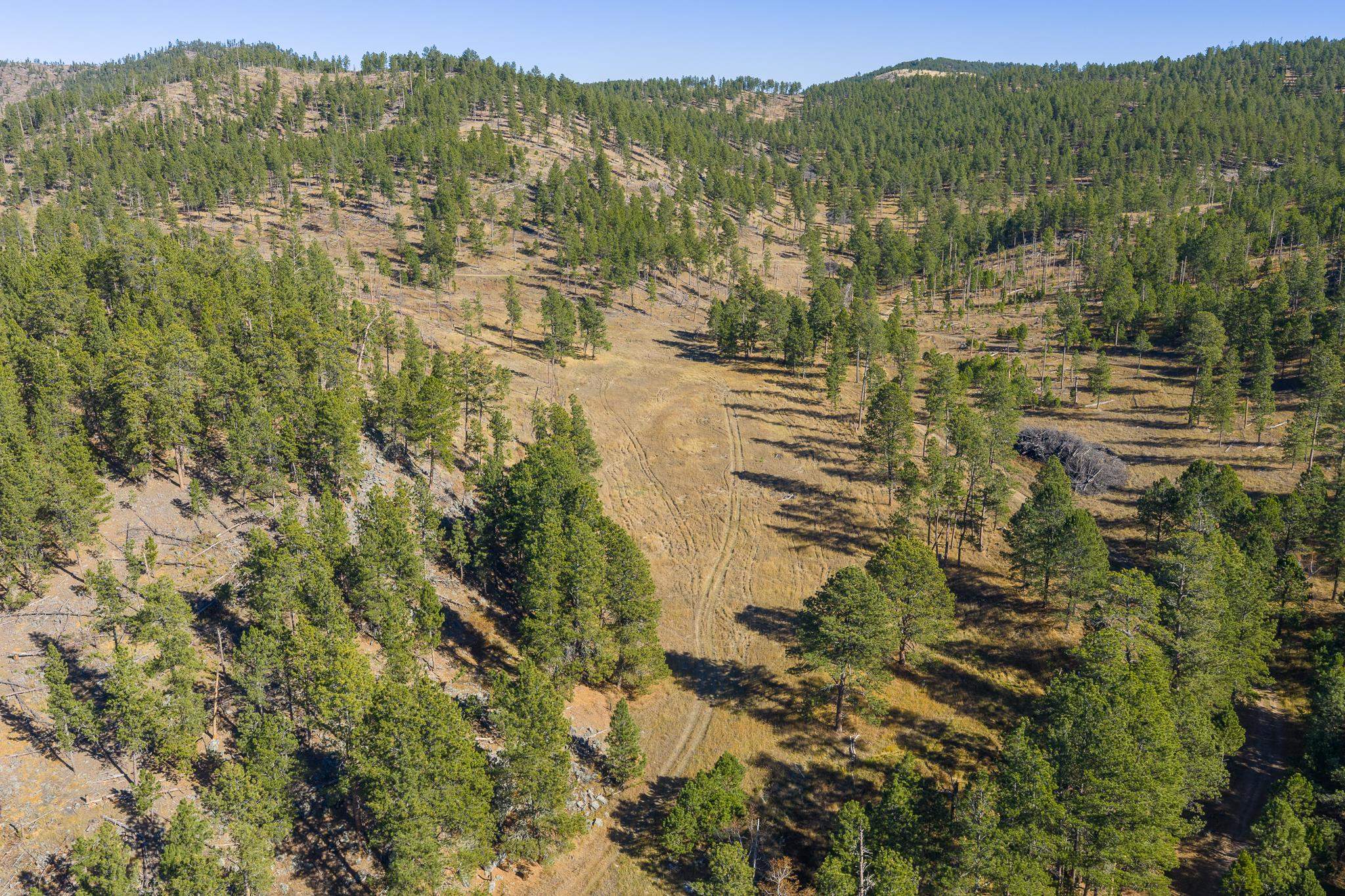 25636 Sidney Park Road