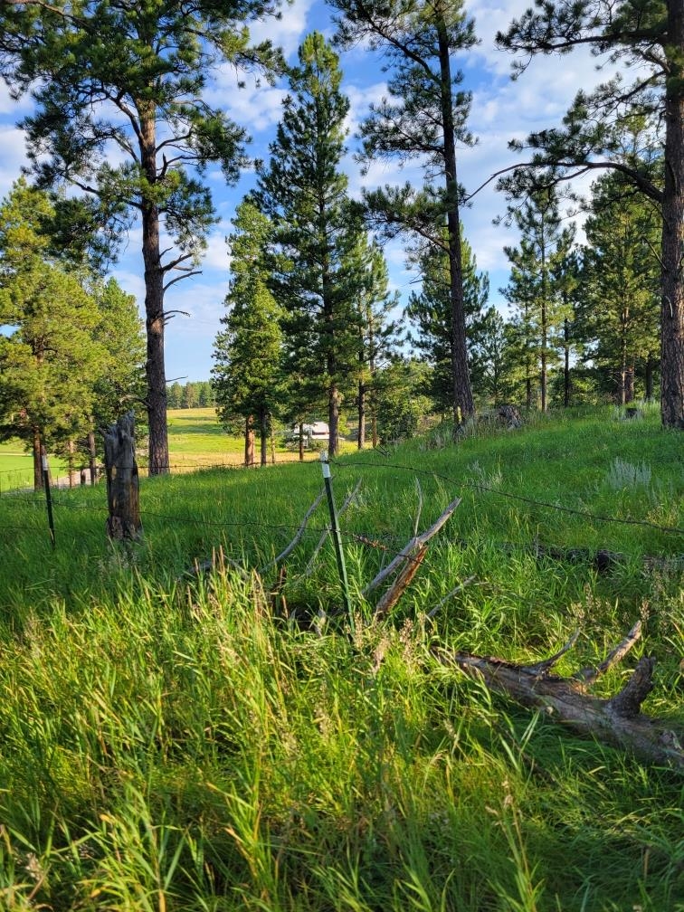 TBD Old Hill City Road