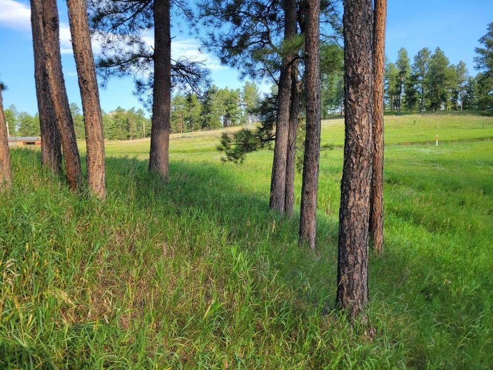 TBD Old Hill City Road