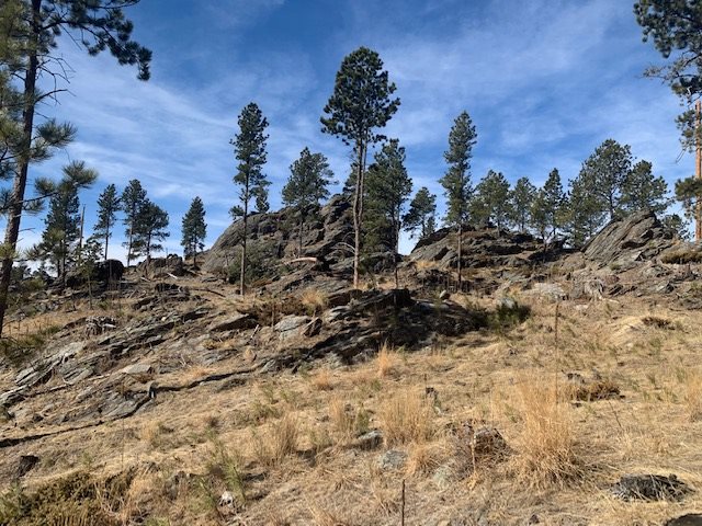 TBD Buckhorn Estates Drive