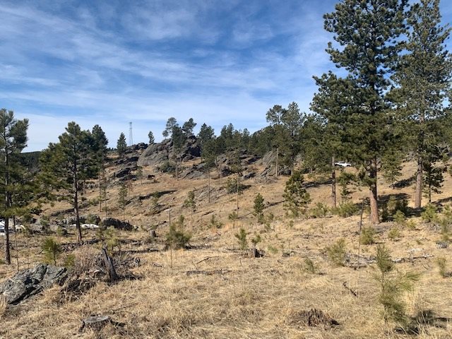 TBD Buckhorn Estates Drive