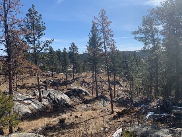 TBD Buckhorn Estates Drive