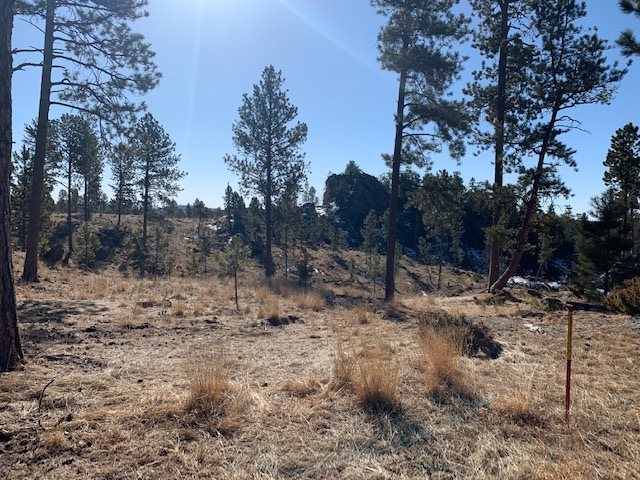 TBD Buckhorn Estates Drive