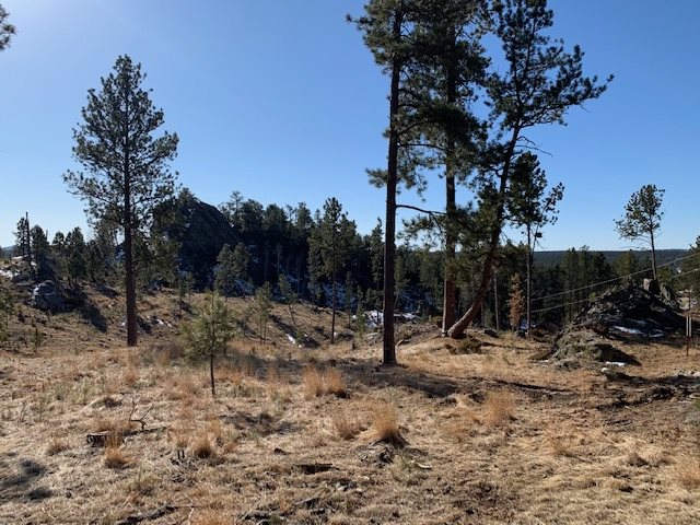 TBD Buckhorn Estates Drive
