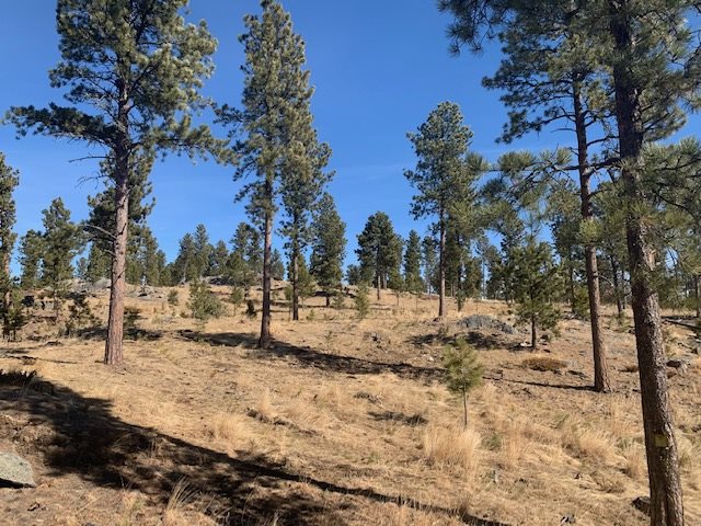 TBD Buckhorn Estates Drive