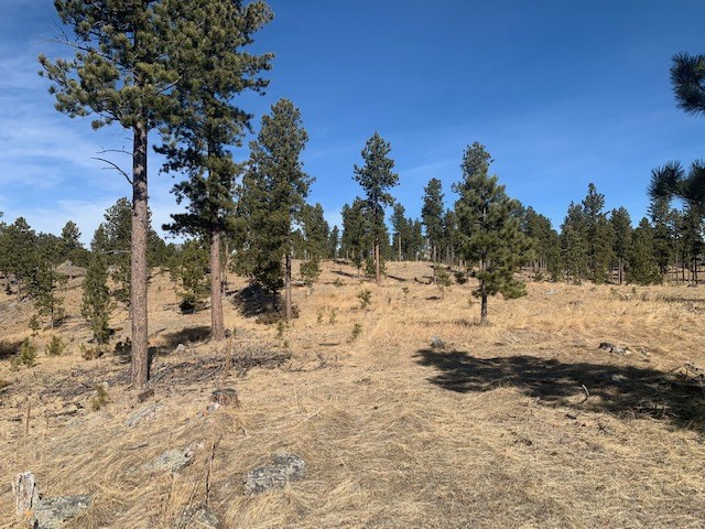 TBD Buckhorn Estates Drive