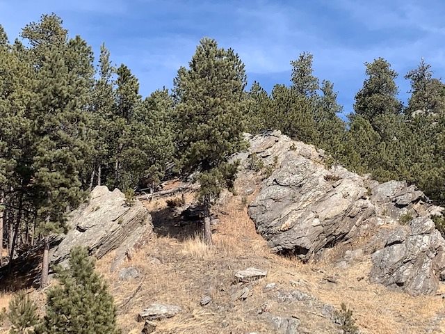 TBD Buckhorn Estates Drive