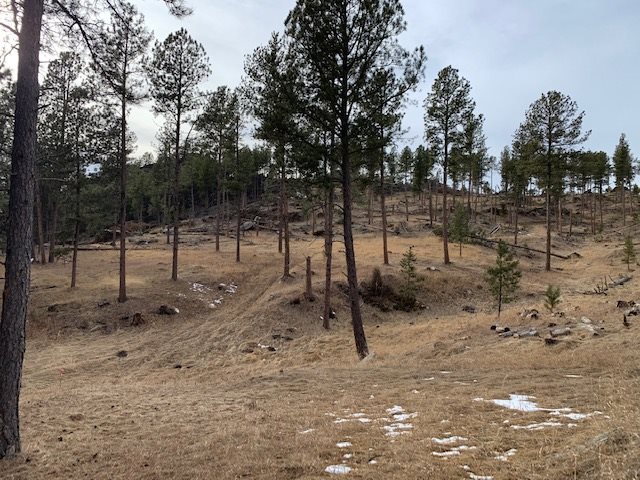TBD Buckhorn Estates Drive