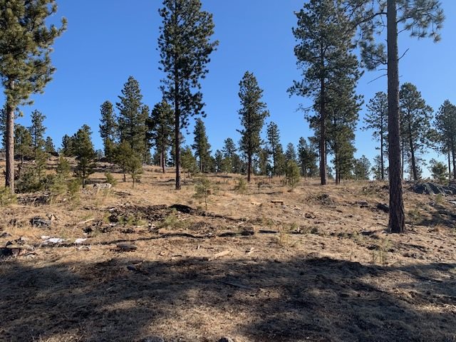 TBD Buckhorn Estates Drive