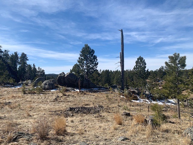 TBD Buckhorn Estates Drive