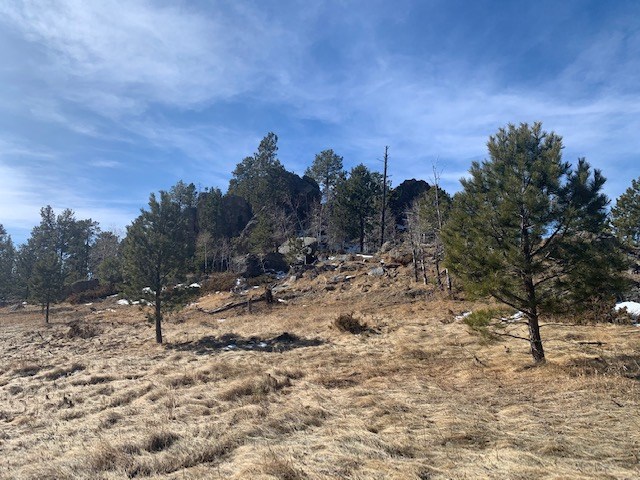 TBD Buckhorn Estates Drive