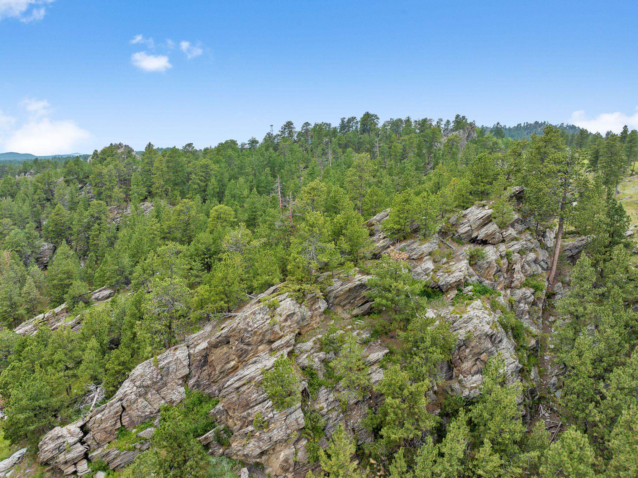 TBD Buckhorn Estates Drive