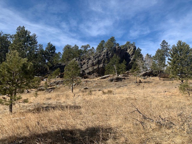 TBD Buckhorn Estates Drive